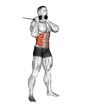 Standing oblique crunch/کرانچ مورب ایستاده سیمکش