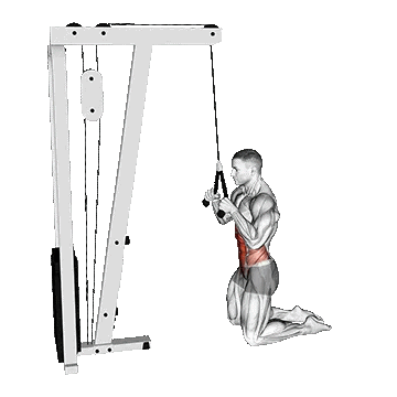 Cable Kneeling Crunch/کرانچ سیمکش زانو زده