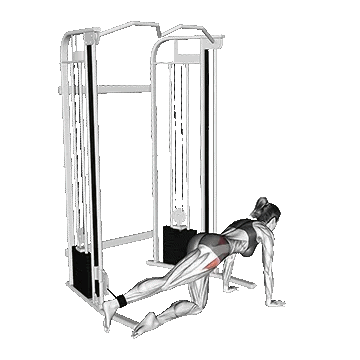 Cable Kneeling Hip Abduction/ابداکشن ران زانو زده سیمکش