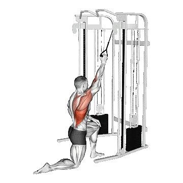 Band Kneeling One Arm Pulldown/سیم‌کش تک دست با کش زانو زده