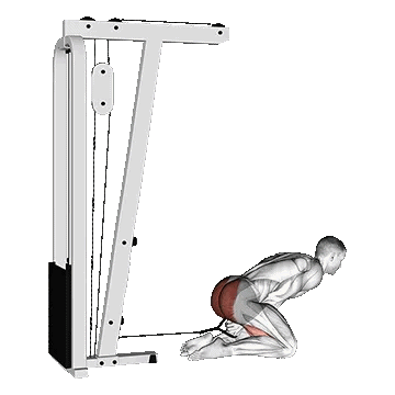 Cable Kneeling Pull Through/هیپ تراست زانو زده سیمکش