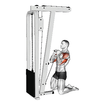 Cable Kneeling Shoulder Press/پرس سرشانه سیمکش زانو زده