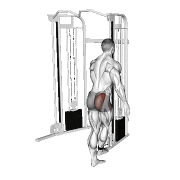 Cable Medius Kickback/کیک بک سیمکش عضله میانی