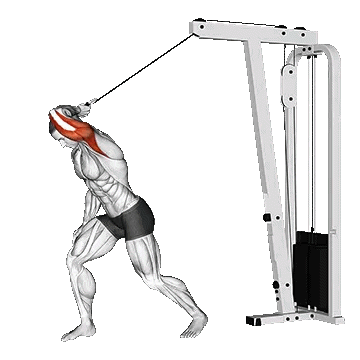 Cable One Arm Overhead Tricep Extension/پشت بازو سیمکش از بالا تک دست