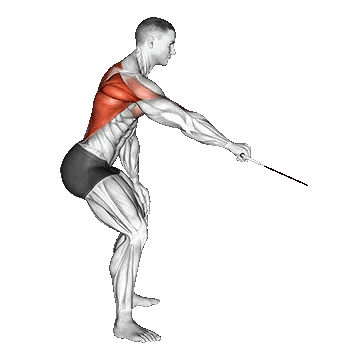 Cable Palm Rotational Row/پارویی تک دست سیمکش با چرخش کف دست