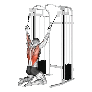 Cable Parallel Grip Lat Pulldown on Floor/زیر بغل سیمکش زانوزده
