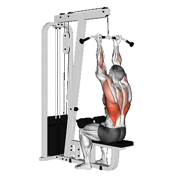 Cable Reverse Grip Straight Back Row/ سیمکش زیربغل دست برعکس
