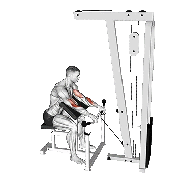 Cable Reverse Preacher Curl/جلو بازو لاری معکوس سیمکش