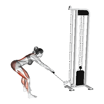 Cable Romanian Deadlift/ددلیفت رومانیایی سیمکش