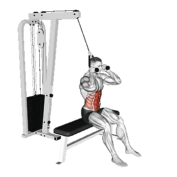 Cable Seated Crunch/کرانچ نشسته سیمکش