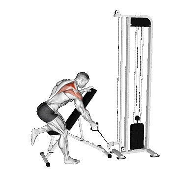 Cable Single Arm Low Scapular Row/پارویی تک دست سیمکش