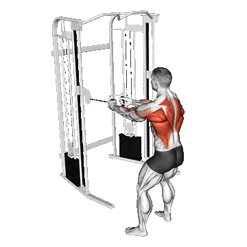 Cable Standing Row/پارویی سیمکش ایستاده دستگیره V