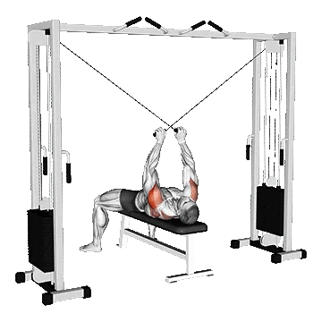 Cable Supine Reverse Fly/فلای برعکس سیمکش نیمکت