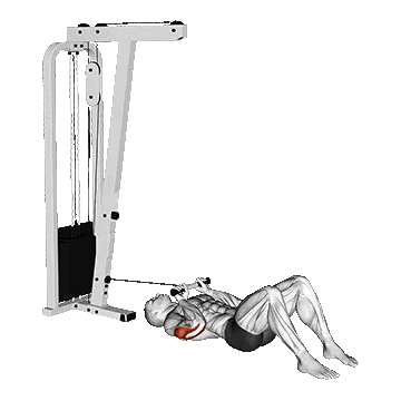 Cable Triceps Pushdown on Floor/پشت بازو خوابیده سیمکش