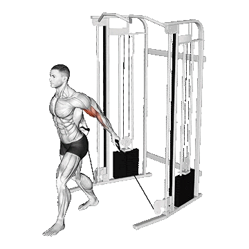 Cable Unilateral Bicep Curl/جلو بازو با سیمکش ۴۵ درجه