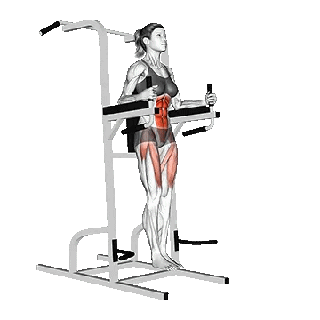 Captains Chair Straight Leg Raise/شکم خلبانی پا صاف