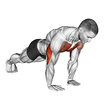 Close Grip Push Up/شنا سوئدی دست جمع