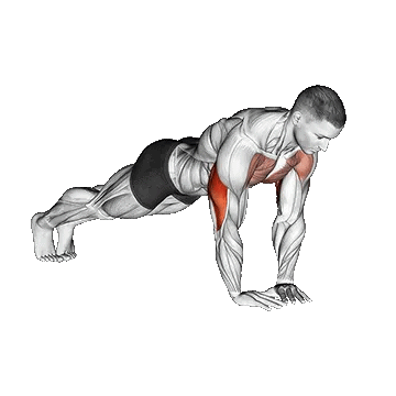 Diamond Push Up/شنا دایموند