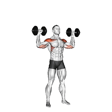 Dumbbell Alternate Shoulder Press/پرس سرشانه دمبل متناوب