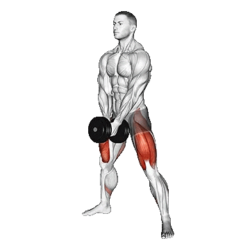Dumbbell Sumo Squat/سومو اسکات دمبل تک