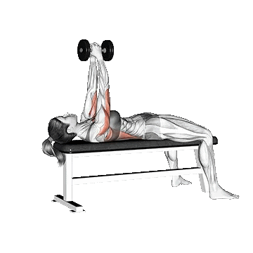Dumbbell Bent Arm Pullover/پول آور دمبل