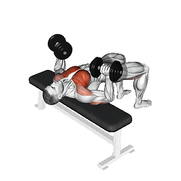 Dumbbell Bridge Bench Press/پرس سینه دمبل پل باسن