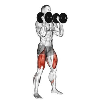Dumbbell Front Squat/اسکات دمبل از جلو