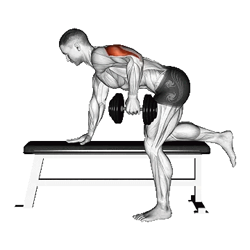 Dumbbell Kickback/کیک بک تک دست