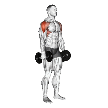 Dumbbell Lateral Raise / نشر جانب دمبل