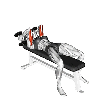 Dumbbell Lying Alternate Extension/پشت بازو چکشی خوابیده متناوب