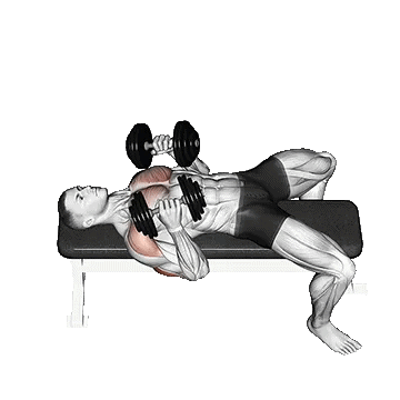 Dumbbell Lying Chest Press/پرس سینه دمبل موازی