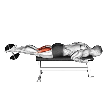Dumbbell Lying Leg Curl/پشت پا خوابیده دمبل