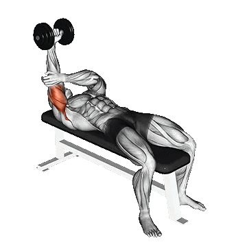 Dumbbell Lying One Arm Pronated Triceps/پشت بازو تک دست خوابیده دمبل