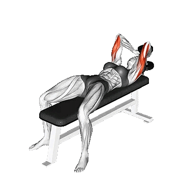 Dumbbell Lying Single Extension/پشت بازو دمبل تک خوابیده