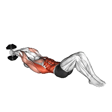Dumbbell Lying Woodchop/کرانچ تبر زن با دمبل
