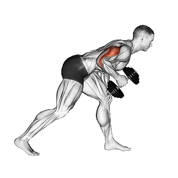 Dumbbell One Arm Kickback/کیک بک تک دست دمبل