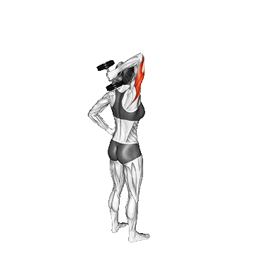 Dumbbell One Arm Triceps/پشت بازو تک دست دمبل
