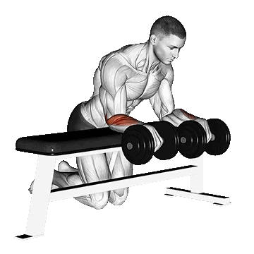 Dumbbell Over Bench Wrist Curl/ساعد دمبل