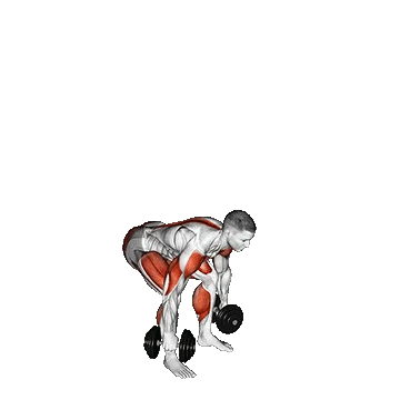 Dumbbell Power Clean and Jerk/دمبل پاور کلین اند جرک