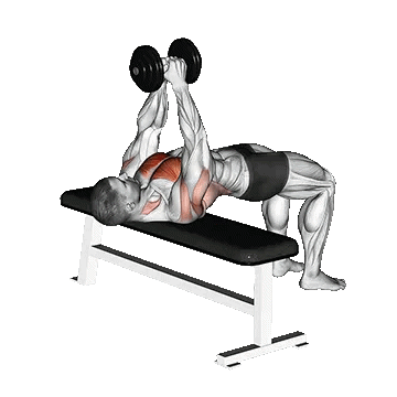 Dumbbell Pullover/پول آور دمبل