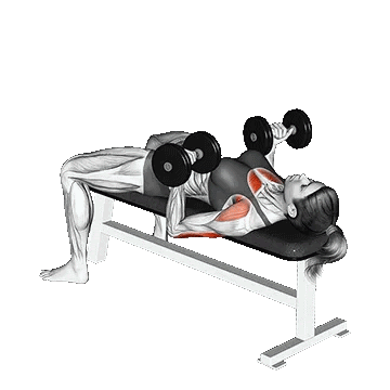 Dumbbell Reverse Bench Press/پرس سینه دمبل دست برعکس