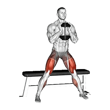 Dumbbell Side Bench Squat/ساید لانگز گابلت اسکات نیمکت