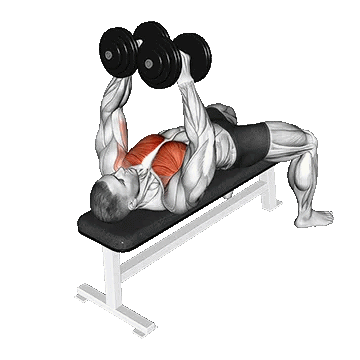 Dumbbell Single Arm Alternate Fly/فلای سینه تک دست دمبل متناوب