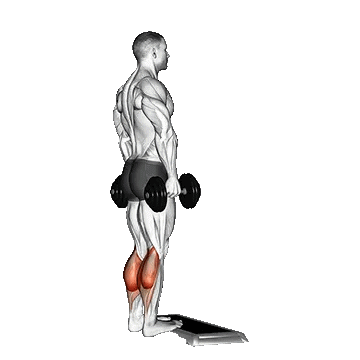 Dumbbell Standing Calf/ساق پا ایستاده دمبل رو استپ
