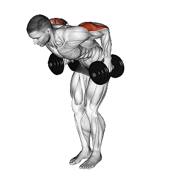 Dumbbell Standing Kickback /کیک بک پشت بازو ایستاده دمبل