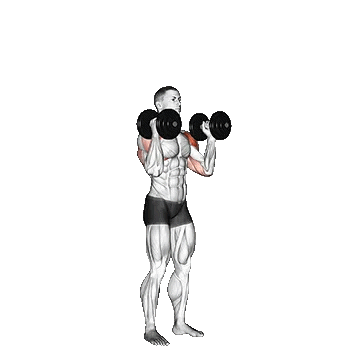 Dumbbell Standing Palms In Press/پرس شانه ایستاده دمبل موازی