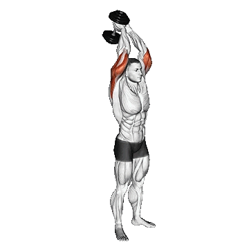 Dumbbell Standing Triceps/پشت بازو دمبل ایستاده دمبل تک