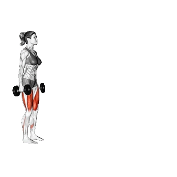 Dumbbell Walking Lunge/لانگز راه رفتن دمبل
