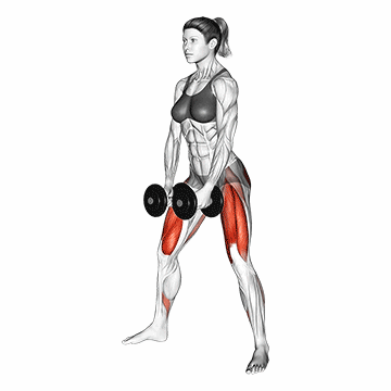 Dumbbells Sumo Squat/سومو اسکات دمبل