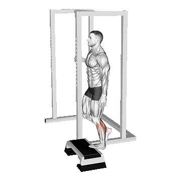 Standing Single Leg Calf/ساق پا ایستاده تک پا استپ